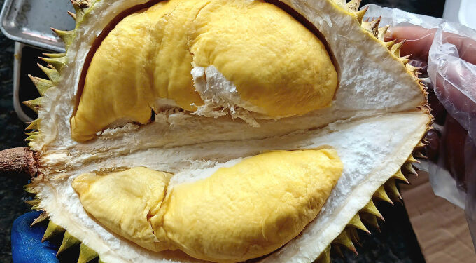 Durian retail prices fall to $1.5 per kilogram in HCMC