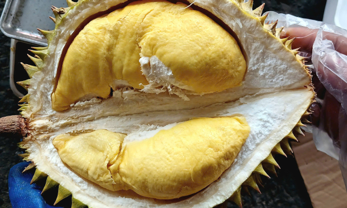 Durian retail prices fall to $1.5 per kilogram in HCMC