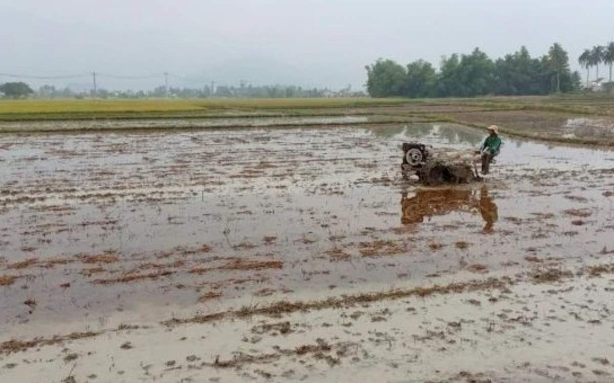 Gần 40% đất nông nghiệp bị suy thoái