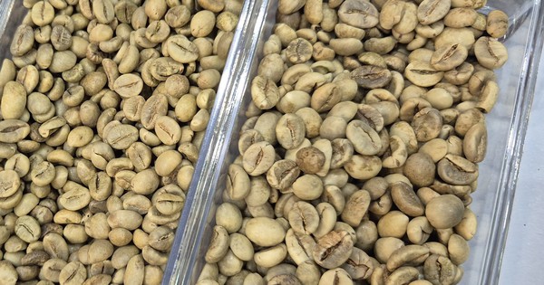Giảm nhưng có tin vui từ thị trường Mỹ 2 Giảm nhưng có tin vui từ thị trường Mỹ