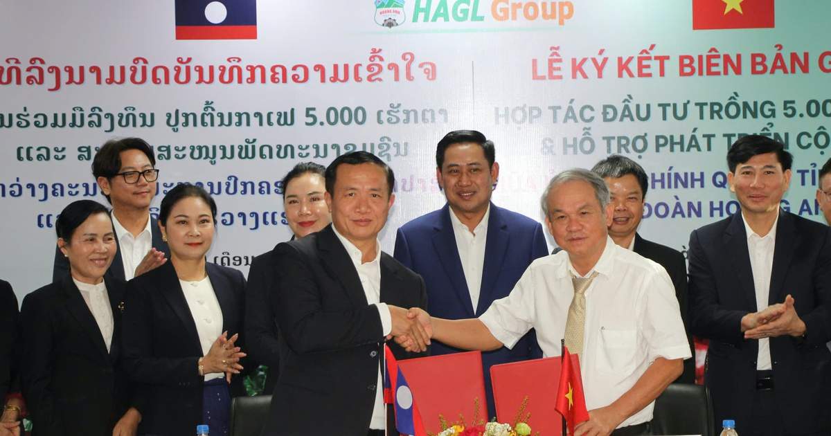 HAGL bắt tay tỉnh Champasak phát triển 5.000 ha cà phê