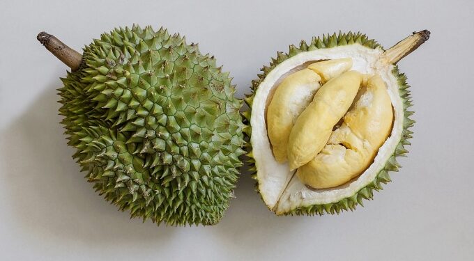 India to ease import requirements for Vietnamese durian