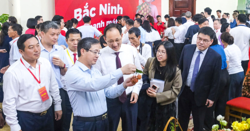 Không chỉ bán theo mùa, Bắc Ninh muốn nâng tầm vải thiều thành nông sản cao cấp Không chỉ bán theo mùa, Bắc Ninh muốn nâng tầm vải thiều thành nông sản cao cấp
