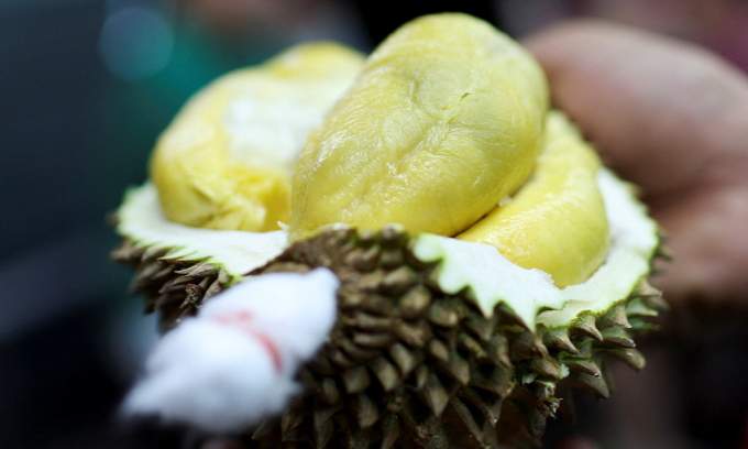 Malaysian durian farmers use technology to fight fake Penang fruits