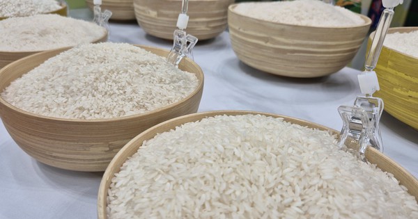 Ngành điều, gạo, rau quả trước quy định nhập khẩu mới của Trung Quốc 4 Ngành điều, gạo, rau quả trước quy định nhập khẩu mới của Trung Quốc