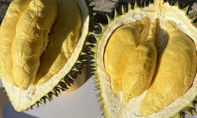 Ri6 durian prices plunge to record low on surging Thai supply
