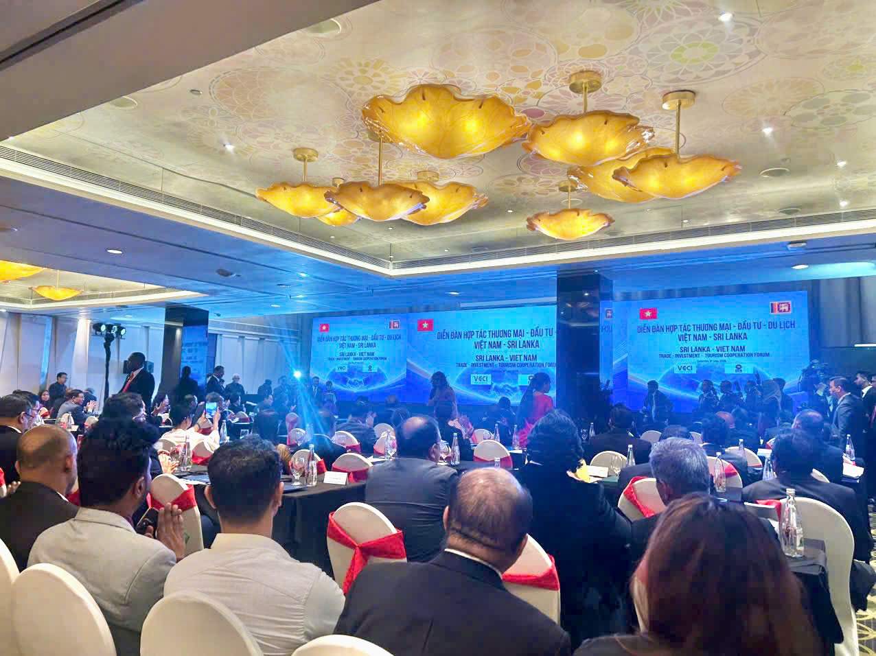 Diễn đàn thu hút hơn 250 đại biểu tham dự.