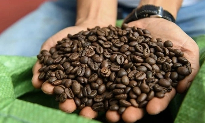 Which Southeast Asian country is world's second-largest coffee exporter?