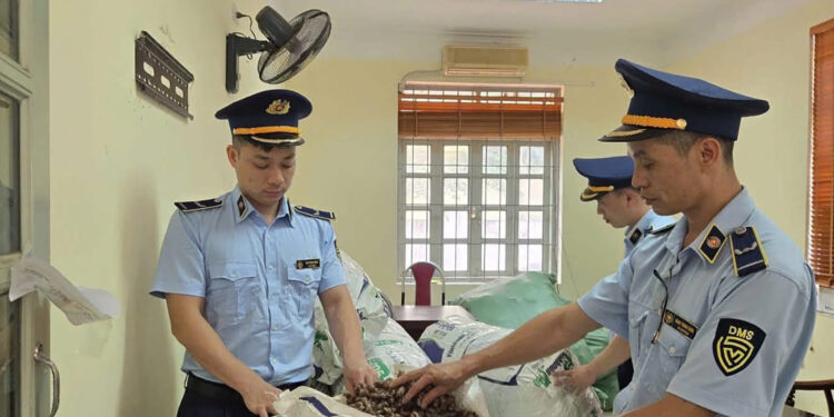 Xôn xao kiểm tra nguồn gốc xác ve sầu; vải chín sớm giá chênh gấp ba