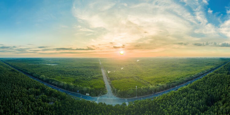 Vì sao Vinhomes Green Paradise Cần Giờ lý tưởng cho người lớn tuổi