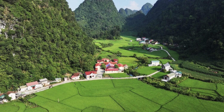 Chồng qua đời, vợ ở Cao Bằng phát hiện gần 15.000m2 đất đã sang tên cho cháu 1 Chồng qua đời, vợ ở Cao Bằng phát hiện gần 15.000m2 đất đã sang tên cho cháu