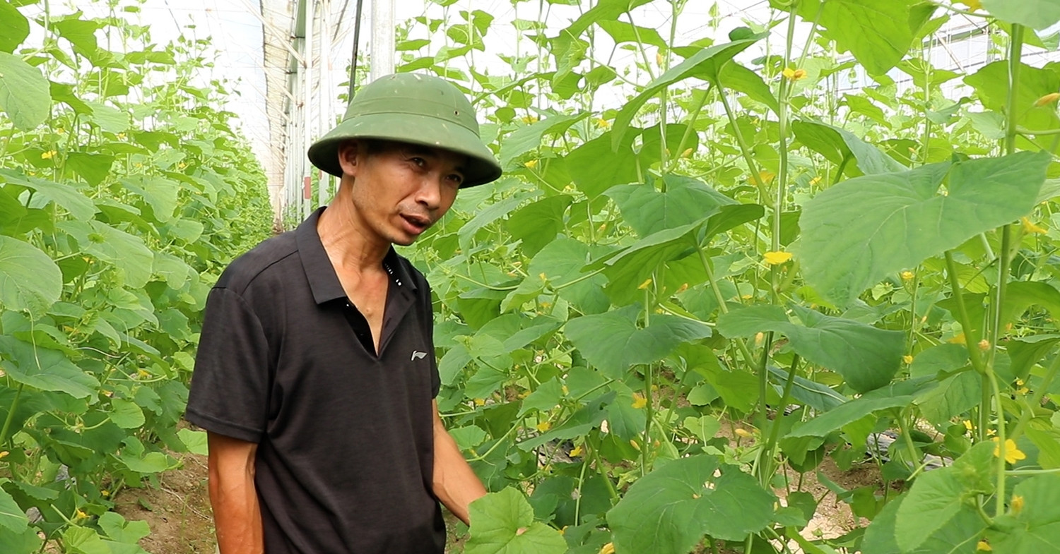 Bỏ việc lương 50 triệu ở Hà Nội, kỹ sư chi 10 tỷ về quê làm điều ít ai dám Bỏ việc lương 50 triệu ở Hà Nội, kỹ sư chi 10 tỷ về quê làm điều ít ai dám