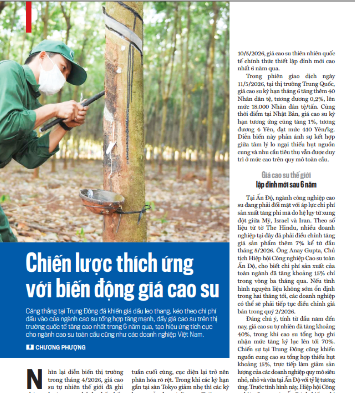 Chiến lược thích ứng với biến động giá cao su