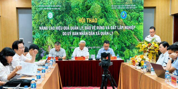 Hơn 3 triệu ha rừng do cấp xã quản lý: Điểm nghẽn cho xuất khẩu xanh và thị trường carbon Hơn 3 triệu ha rừng do cấp xã quản lý: Điểm nghẽn cho xuất khẩu xanh và thị trường carbon