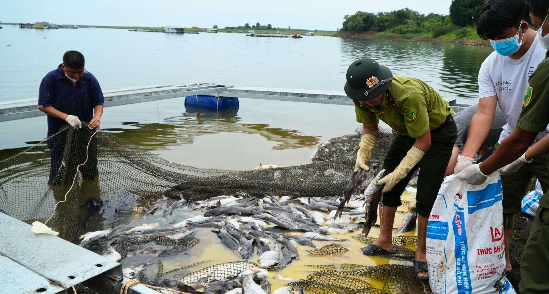 Oxy giảm sâu, amoni vượt chuẩn