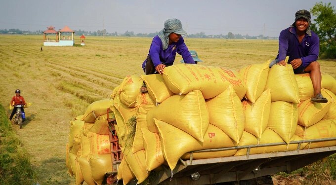 Vietnam deepens role in ASEAN supply chains beyond rice exports