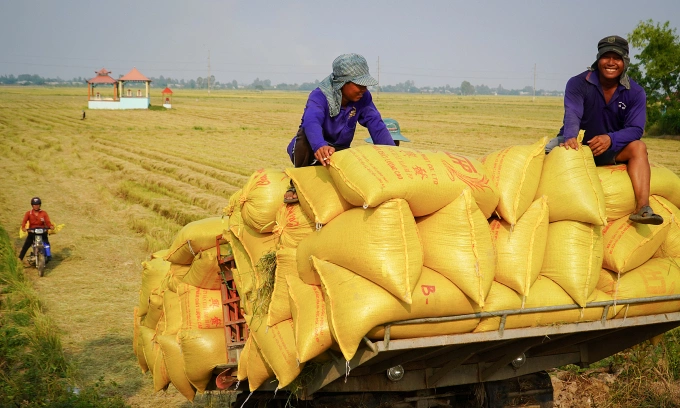Vietnam deepens role in ASEAN supply chains beyond rice exports