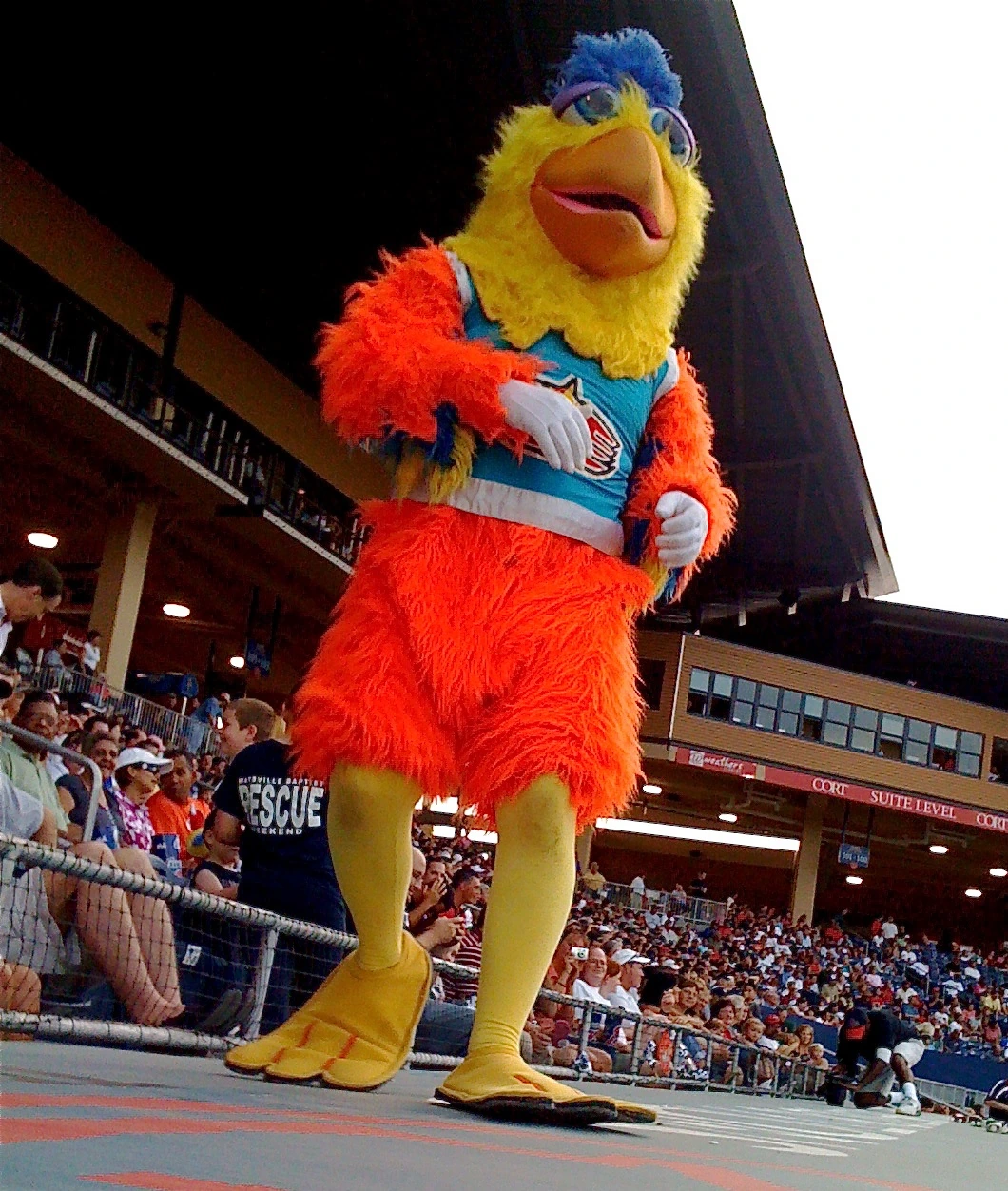 Ted Giannoulas as the San Diego Chicken mascot posing at a baseball game in a stadium.