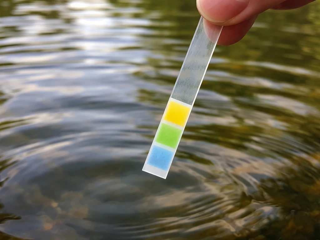 Close-up of a pH test strip held above pond water, showing the water’s color change for pH checking.