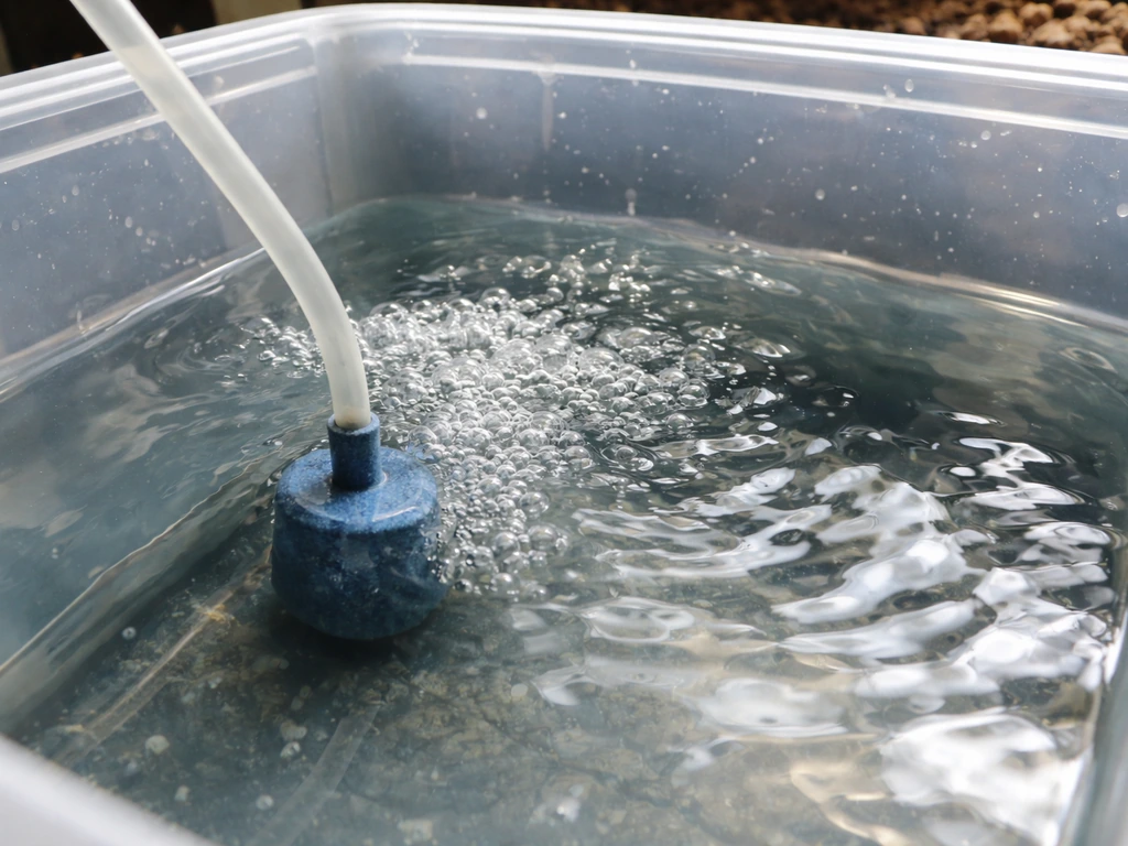 Close-up of an air stone bubbling in a clear water reservoir to emphasize oxygenation.