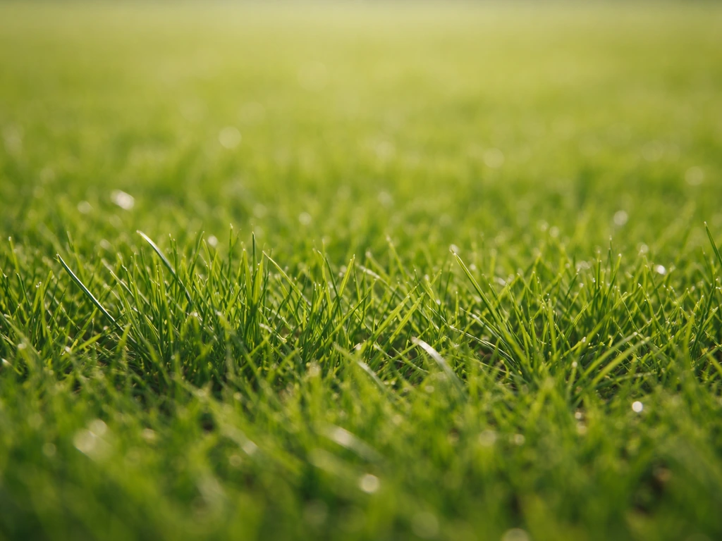 Pelouse : brins d’herbe très nets au premier plan, arrière-plan flouté en texture unifiée.