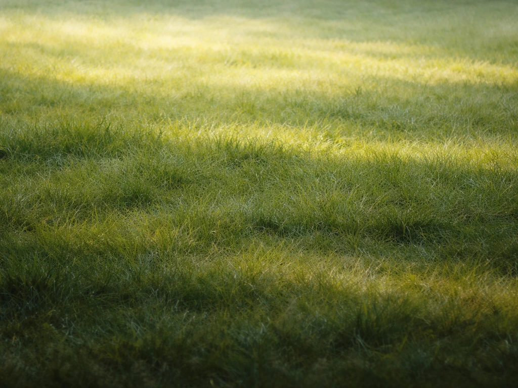 Trois bandes de clair, moyen et sombre dans l’herbe, effet impressionniste pour suggérer le relief