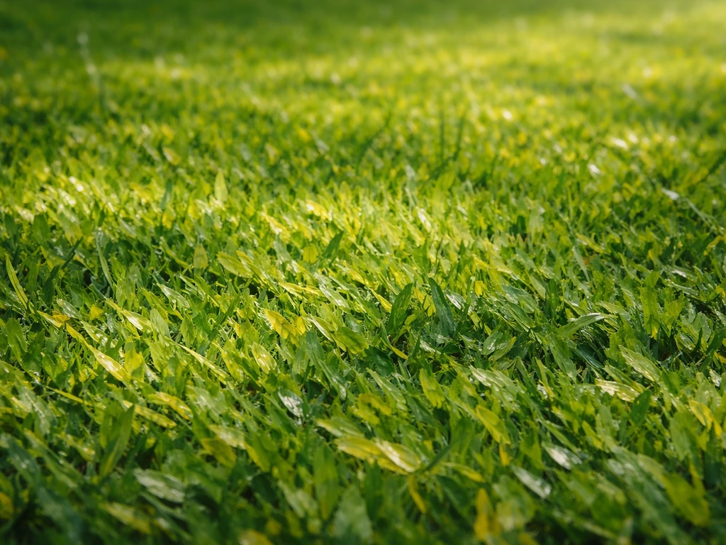 Gros plan d’une surface d’herbe faite de petites touches de verts, qui se fondent à distance.