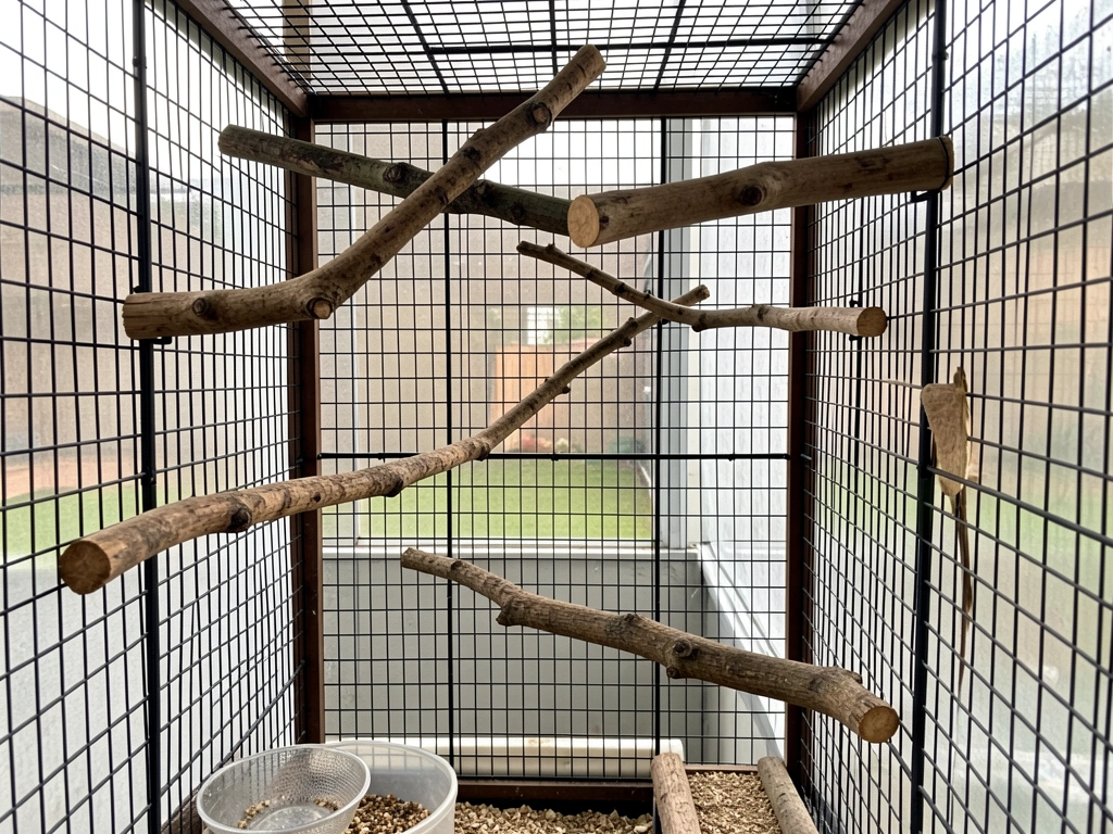 Natural perches at three heights inside a budgie cage, showing different diameters