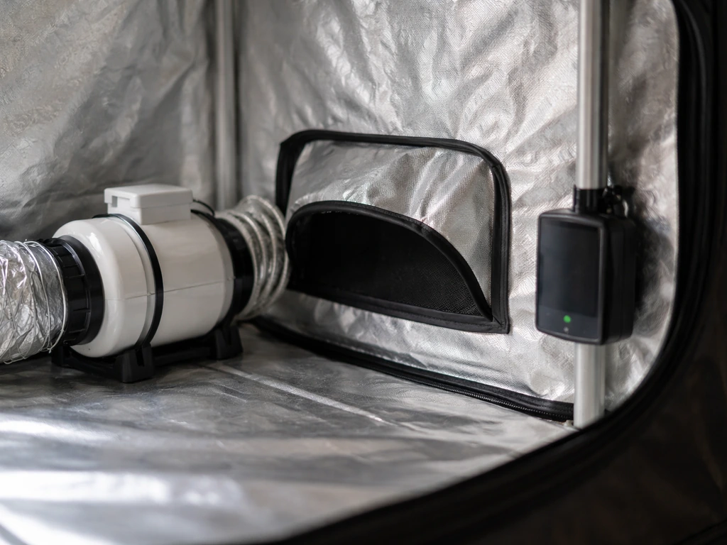 Small inline fan and ventilation opening next to a fruiting tent, suggesting fresh air exchange for CO2 control