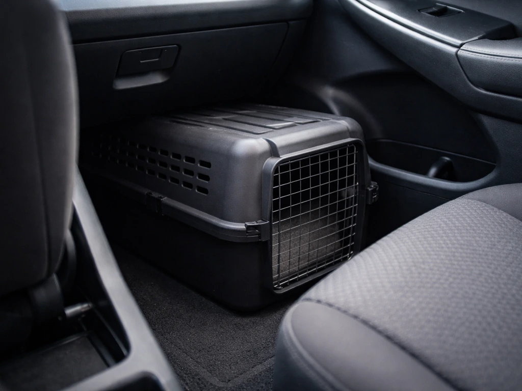 Dark ventilated pet carrier secured on a car floor, door closed, minimal interior in natural light.