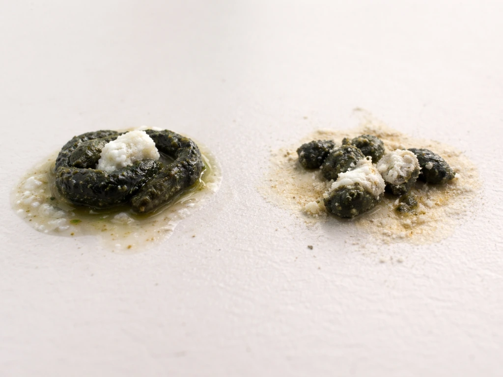 Close-up comparison of two bird droppings on a clean surface to suggest dehydration vs normal.