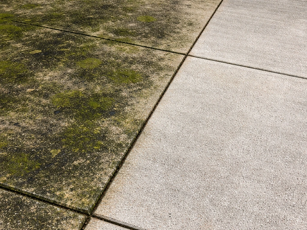 Concrete patio with green algae/mold stains and a nearby cleaned section showing clear lines.