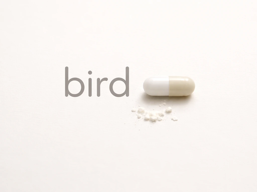 Minimal close-up of word “bird” beside a generic pill icon suggesting methaqualone meaning.