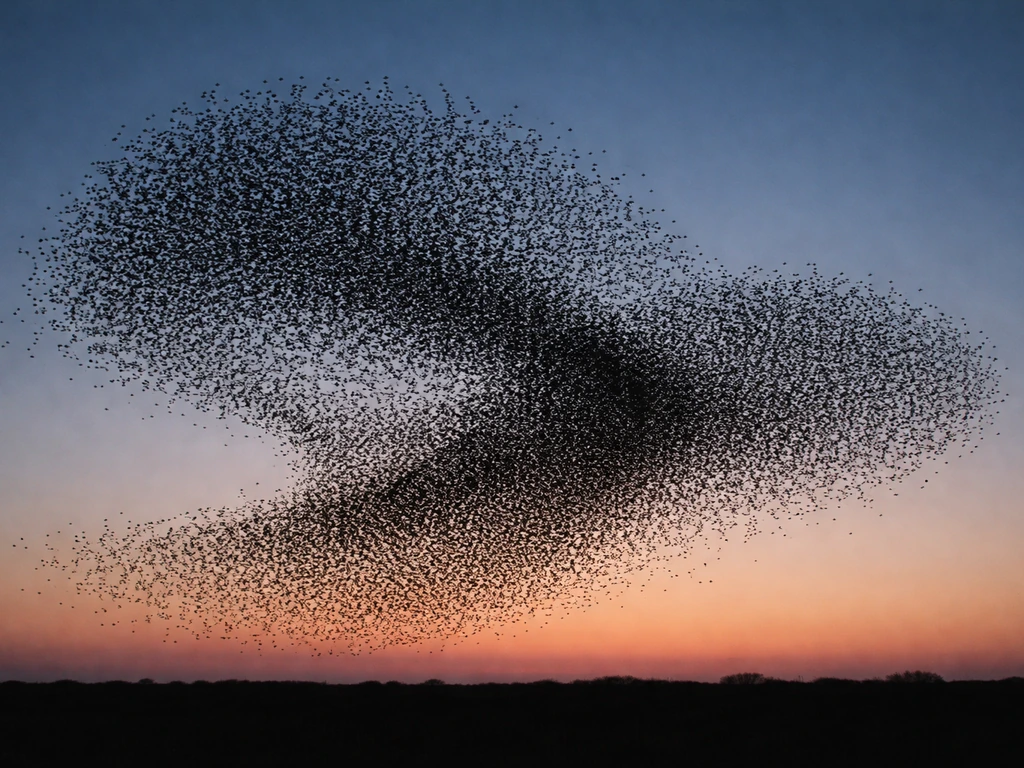 Thousands of starlings swirl together in a murmuration above a dusk sky, forming a tight living cloud.