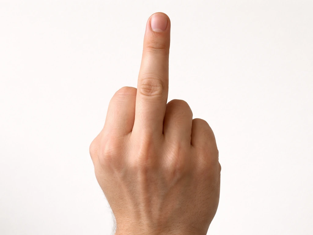 Close-up of a hand with the middle finger raised and other fingers folded in a clear, minimal view.