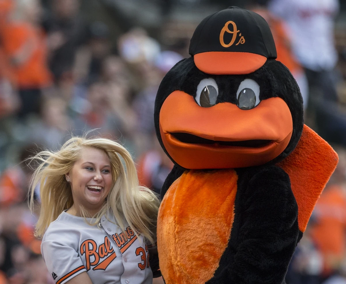 The Oriole Bird, Baltimore Orioles mascot, standing beside a smiling fan at a baseball game