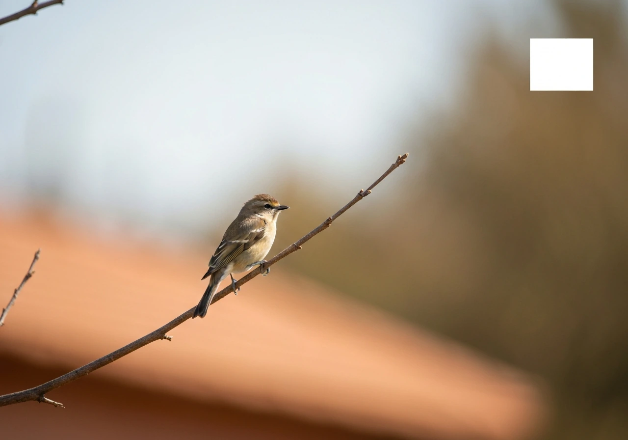 Small bird perched on a branch with warm, softly blurred background and empty space for title.