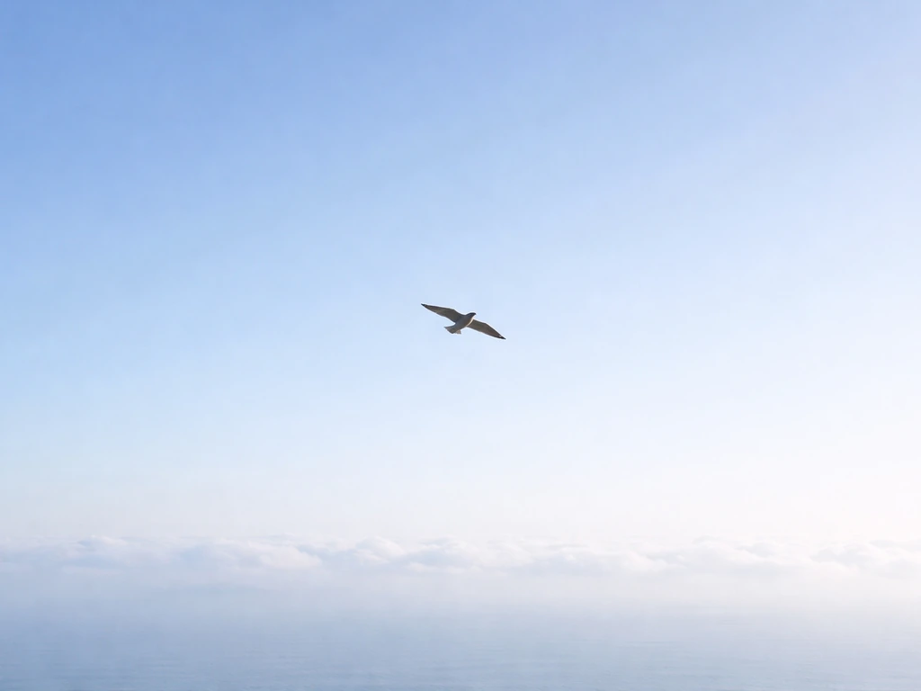 A lone bird flies across a wide open sky, suggesting restlessness and distance from home.