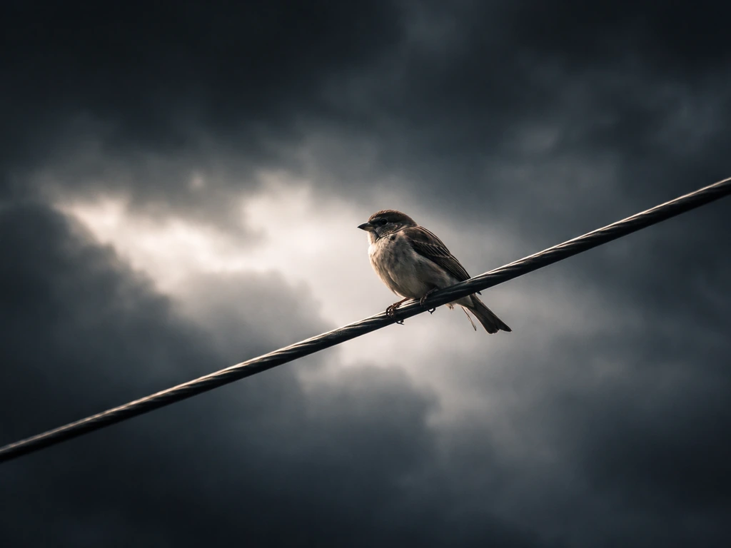 like a bird on the wire meaning