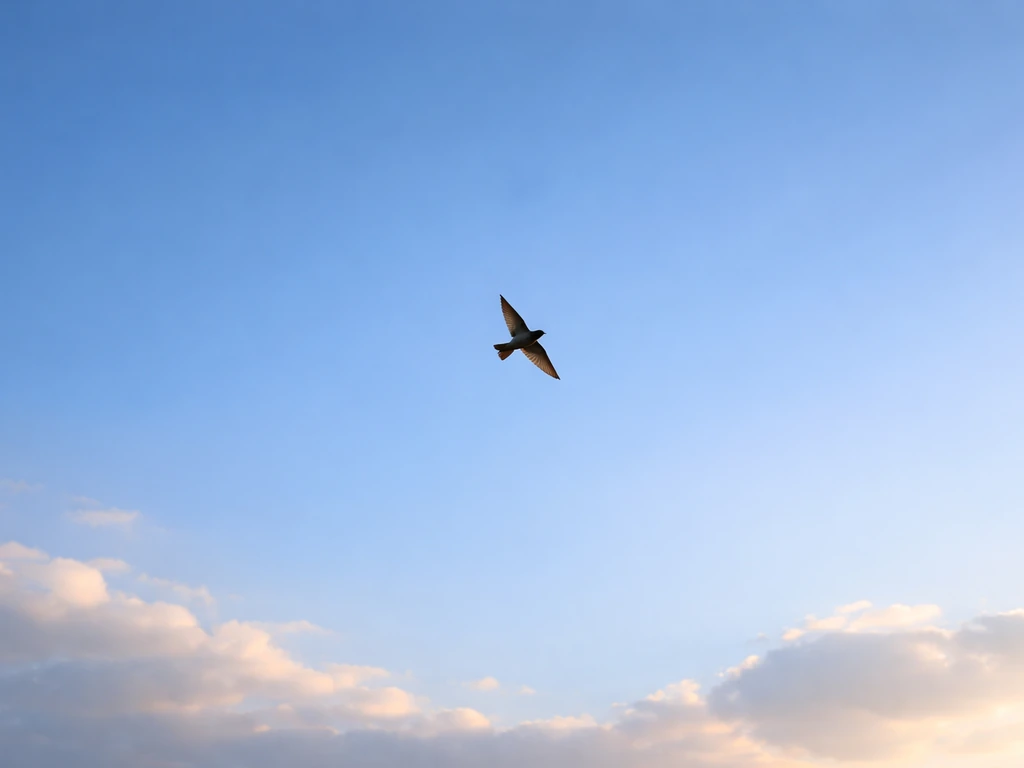 bird to be meaning