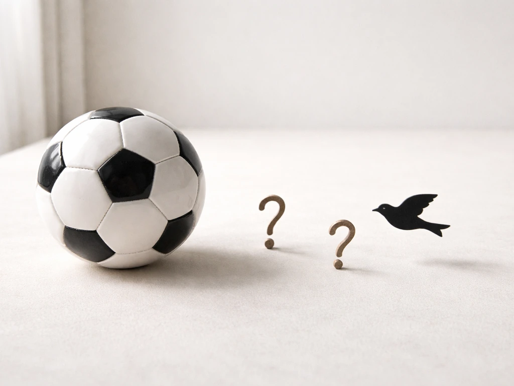 A soccer ball and a small bird silhouette facing each other with question marks as props.