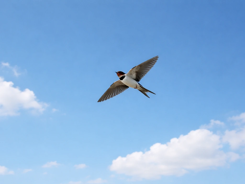A small bird soaring across open blue sky, symbolizing freedom and transcendence.