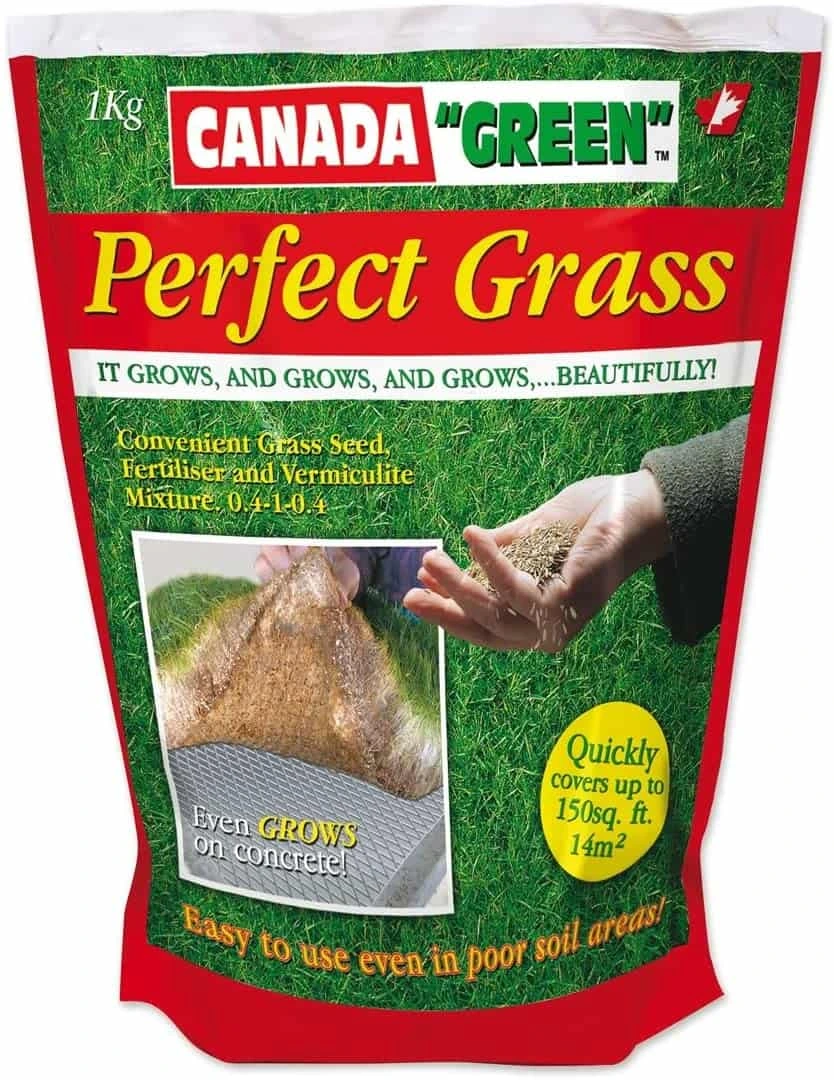 Gazon Perfect Grass avis : test, points forts, limites et choix