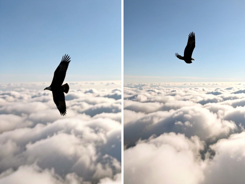 Soaring raptor silhouettes at different heights above a visible cloud layer.