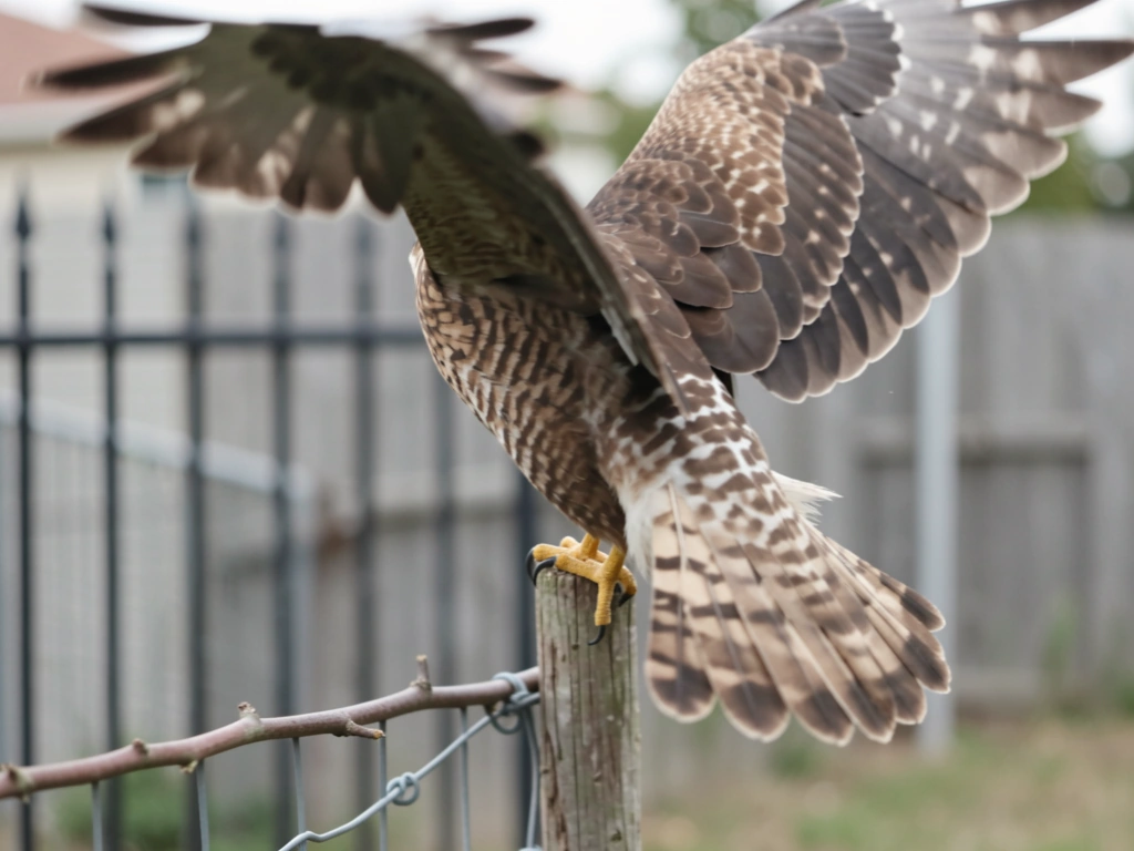 Wing pitch-up and tail-fan air braking just before touchdown