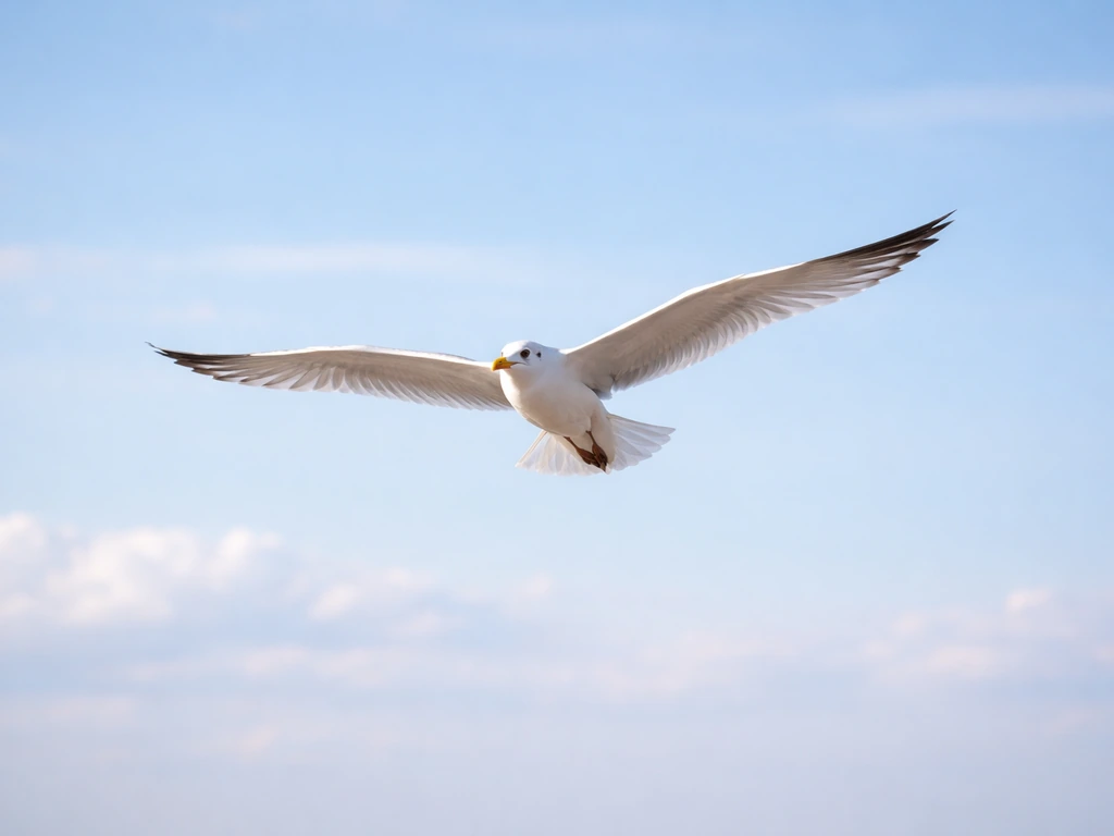Bird in Flight Meaning: Symbolism and Flight Facts