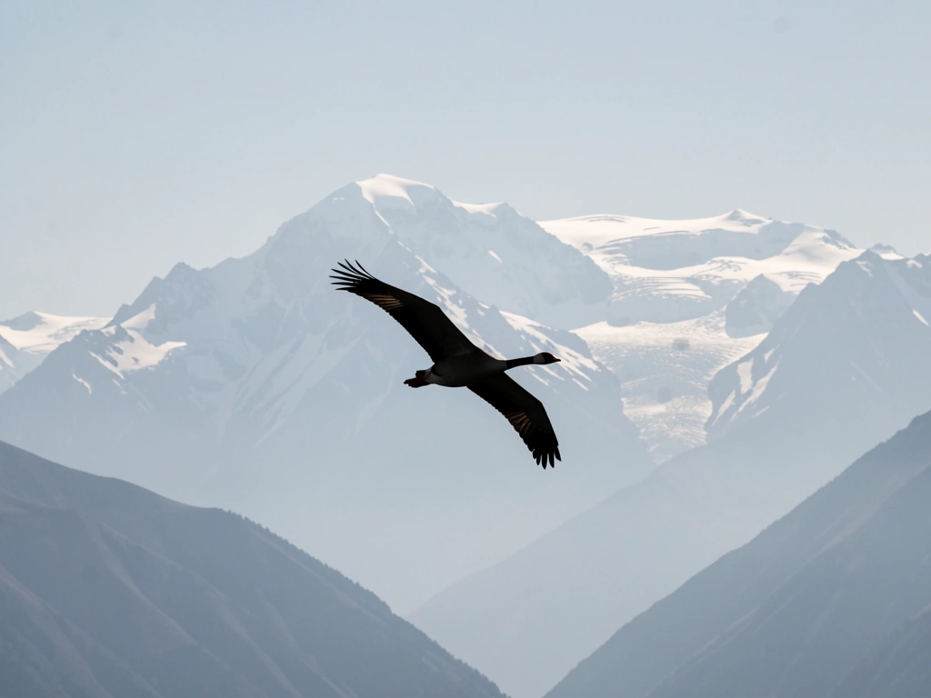 Bar-headed goose gliding high over Himalayan ridge at Everest-level altitudes