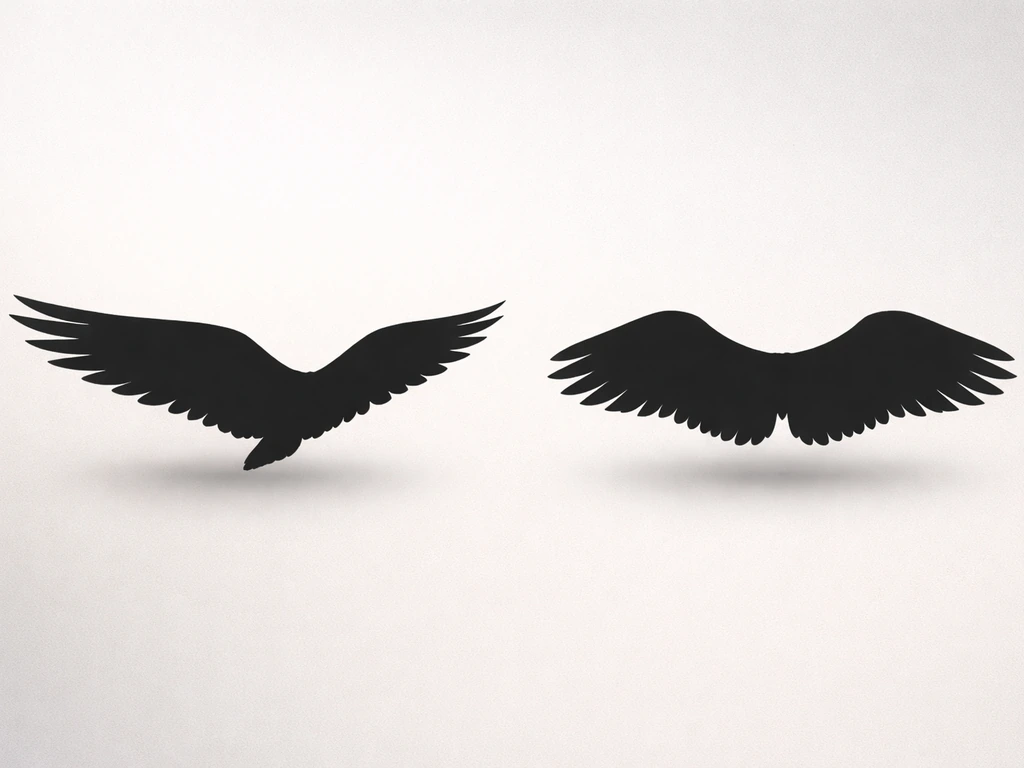 Minimal side-by-side silhouettes of two birds’ wing shapes demonstrating long-narrow vs shorter wings