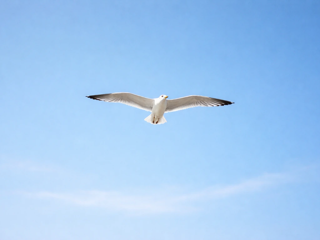 A bird glides across a clear sky with wings extended and steady, showing smooth motion overhead.