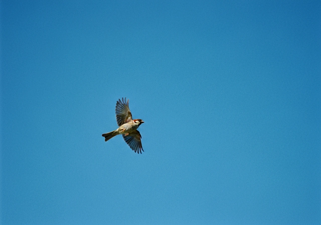 One small bird flying in a clear blue sky